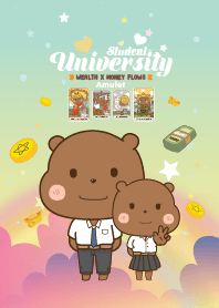 Student Univ. : Wealth&Money Flows IV