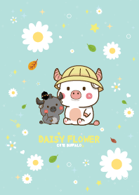 Buffalo Daisy Flower Cutie