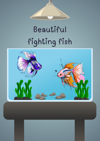 Beautiful fighting fish