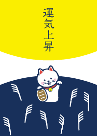 Lucky Cat on the Moon