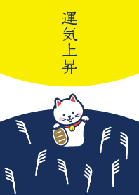 運気上昇！お月見の招き猫