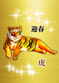 lucky gold Tiger 123
