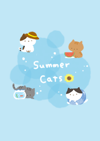 Summer cats
