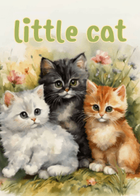 แก๊งแมวน้อย