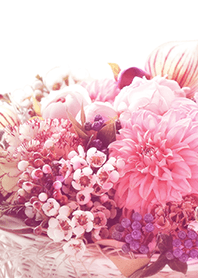 【flower】elegant