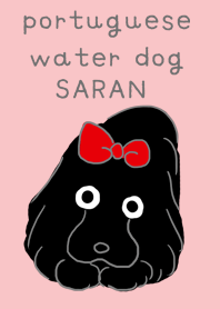 portuguese water dog Saran