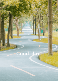 優美森林秘境桌布