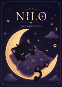 NILO - Midnight Room