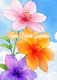 Triple Bloom Sunshine