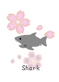 サメも桜の季節を愛して