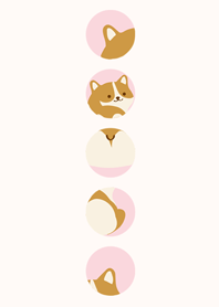 Corgi ขยายบางส่วน