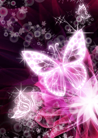 cherry blossom butterfly