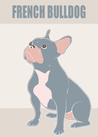 프렌치 불독 : 베이지