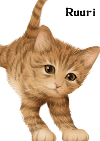 Ruuri Cute Tiger cat kitten