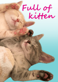 Full of kitten