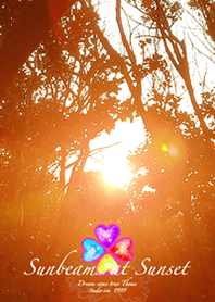 Sunbeams at Sunset