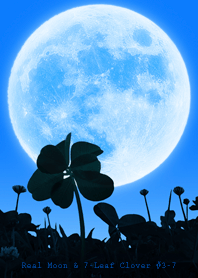 Real Moon & 7-Leaf Clover #3-7