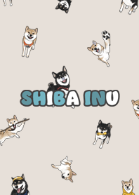 shibainu3 - dark beige .jp