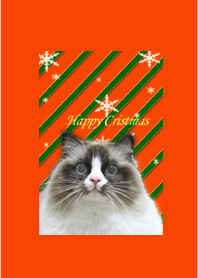 Baal's Christmas
