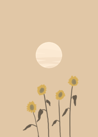 sunflower sunset