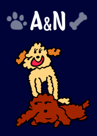 Toy poodle.Aren&Noa