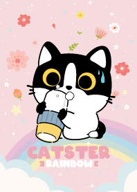 แคทสเตอร์ ดอกไม้สายรุ้ง