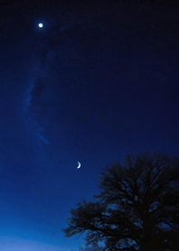 Bright Moon and Dawn 55436a