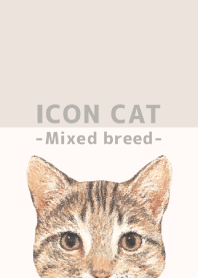 ICON CAT - Mixed breed cat - BEIGE/02