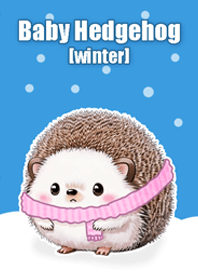 Baby Hedgehog [winter]