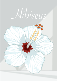 Flowers : Hibiscus V2