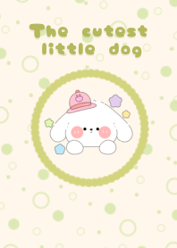 The cutest little dog1