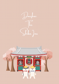 ʕ•ᴥ•ʔ 柴犬抖宅 × 日本淺草