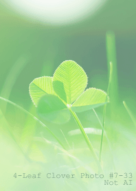 4leaf Clover Photo#7-33Not AI