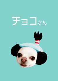 チョコさん