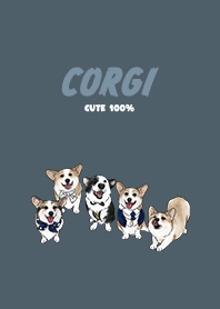 corgicorgi4 / dark steel blue