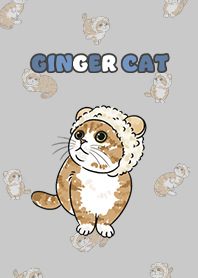 gingercat10 / grey