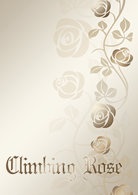 Climbing Rose*champagne gold