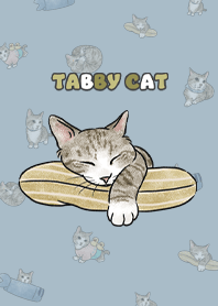 tabbytcat3 / light steel blue