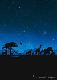 サバンナの夜