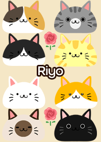 Riyo Scandinavian cute cat3