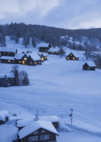 Various forms of winter snow 71c058