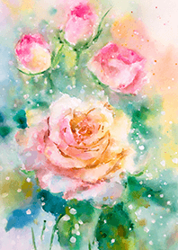 Beautiful rose flower(R2714)