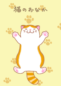 かわいい猫のふわふわなおなか