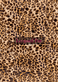 Leopard Fur 78