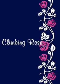 Climbing Rose