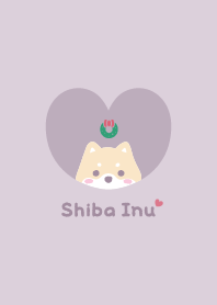 Shiba Inu2 lease [PurplePink]