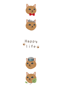 Cute various orange cats