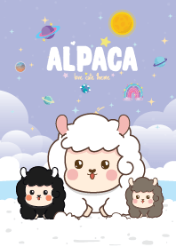 Alpaca Seaside Violet