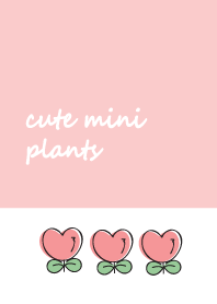 Cute mini plants