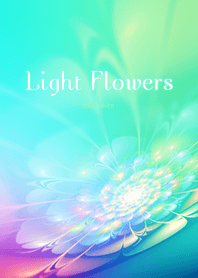 빛의 꽃 01 .